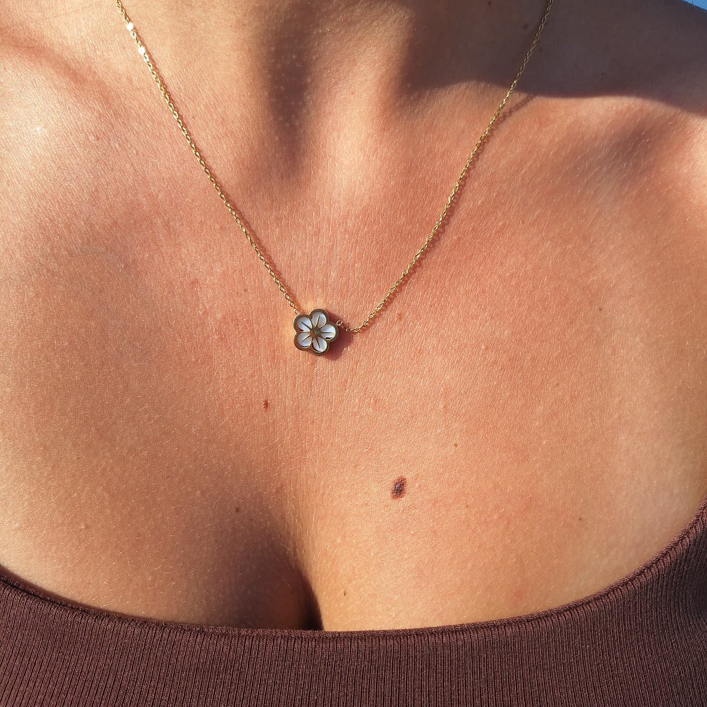 Collier Prune