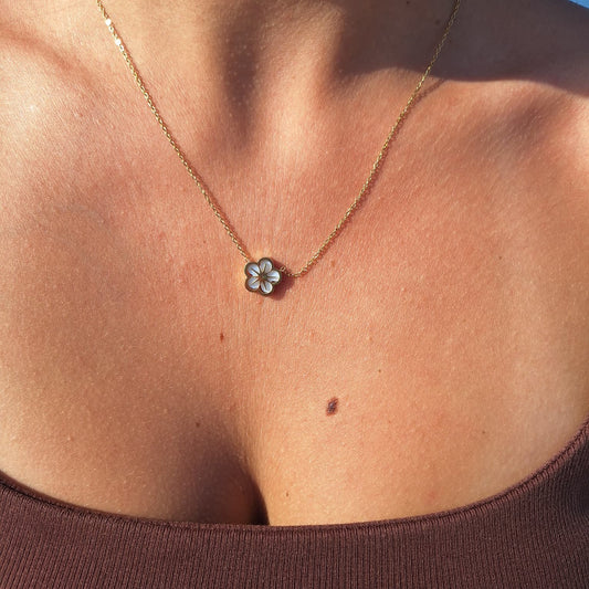 Collier Prune
