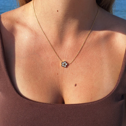 Collier Prune